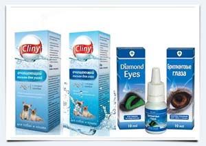 фото уход за котенком мейн кун