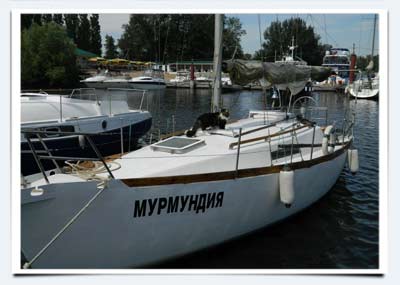 фото мейн куна кота привычки мейн куна любовь путешествовать