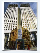 выставки кошек в москве 2010 год